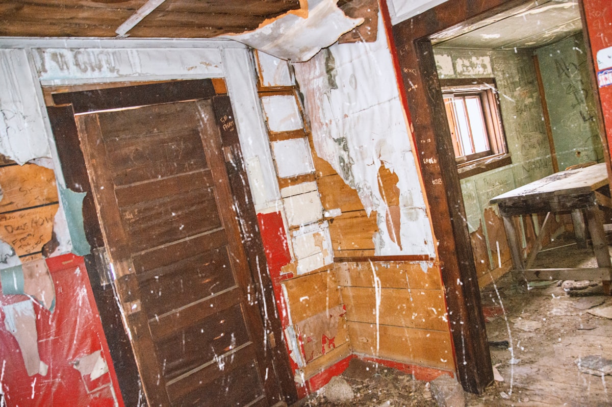 Flood Cleanup service in Santa Monica, CA