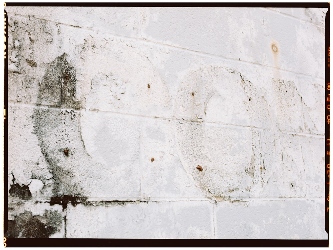 Water Extraction service in Santa Monica, CA