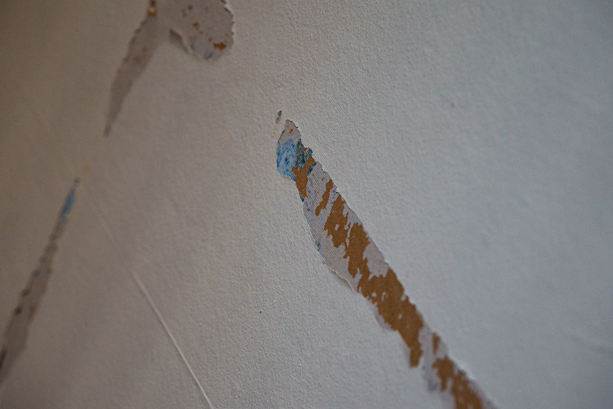 Storm Damage Repair service in Santa Monica, CA